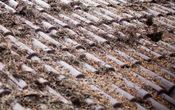 Gartlea roof cleaning companies